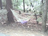 Rachel relaxing in the hammock.